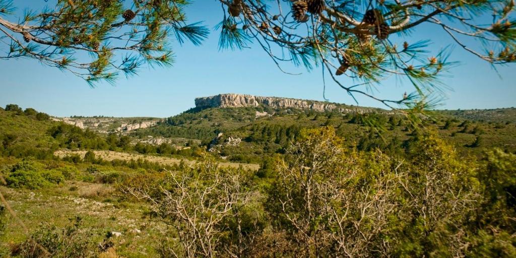 Ferienpark Holidayland Baie Des Oliviers 36m2 1chambre Fermee 6 Couchages Ou 41m2 2chambres Fermees 7 Couchages