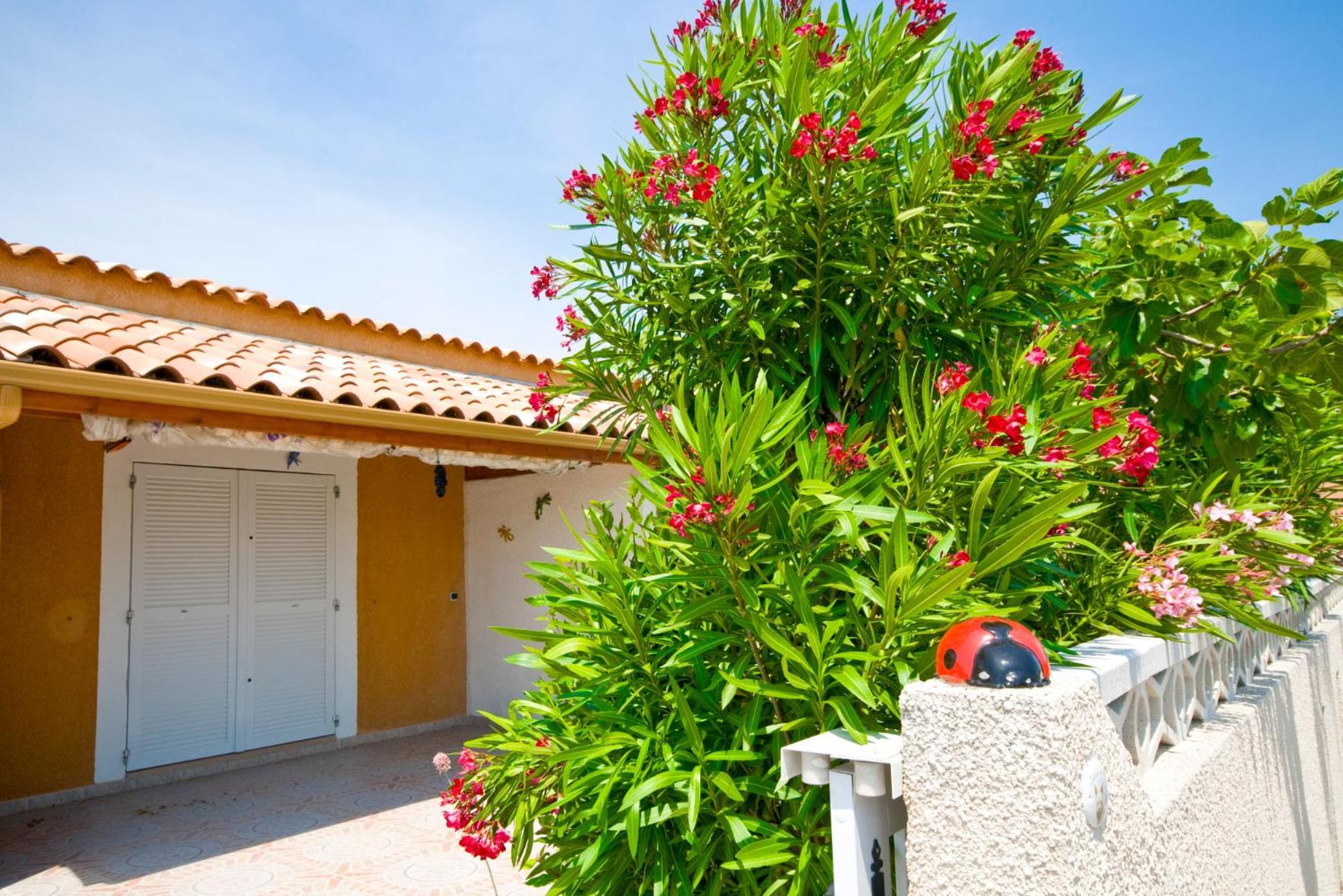 Ferienpark Holidayland Baie Des Oliviers 36m2 1chambre Fermee 6 Couchages Ou 41m2 2chambres Fermees 7 Couchages *